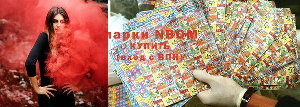 шишки Богородицк