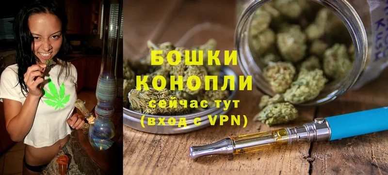 Шишки марихуана OG Kush  где купить   Любань 